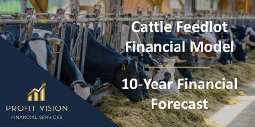 Cattle Feedlot – 10 Year Financial Model