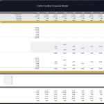 Cattle Feedlot Capital Expenditure Budget | eFinancialModels Detailed CapEx and depreciation summary for cattle feedlot financial modeling.