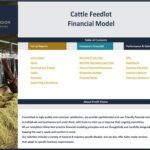 Cattle Feedlot Financial Model Table of Contents | eFinancialModels Table of Contents for cattle feedlot financial modeling including setup and performance metrics.
