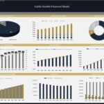 Cattle Feedlot Financial Model Dashboard Overview | eFinancialModels Cattle feedlot financial model dashboard with revenue, cash flow, and expense charts.