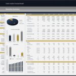 Cattle Feedlot Financial Model Executive Summary | eFinancialModels Financial summary highlighting revenue, expenses, and cash flow for a cattle feedlot model.
