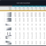 Cattle Feedlot Financial Model with Key Ratios Overview | eFinancialModels Cattle feedlot financial model showing key financial ratios over ten years.