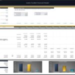 Cattle Feedlot Financial Model Investor Distribution Overview | eFinancialModels Overview of investor distributions and returns in a cattle feedlot financial model