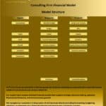 Financial model structure showing inputs, reports, and outputs for consulting analysis.