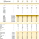 Medical Clinic Financial Projections and KPIs Overview | eFinancialModels Financial model displaying KPIs and projected revenues for a medical clinic across five years.