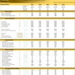 Financial Ratios for Medical Clinic (2025-2029) | eFinancialModels Financial ratio analysis table displaying metrics for a medical clinic from 2025 to 2029.