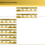DuPont Analysis for Medical Clinic Financial Model | eFinancialModels Key financial metrics and ratios from DuPont analysis for a medical clinic model (2025-2029).