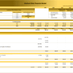 Medical Clinic Financial Model Distribution Overview | eFinancialModels Summary of investor returns and distributions in medical clinic model