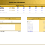 Medical Clinic Financial Model Overview | eFinancialModels Financial model showing operational data and funding sources for a medical clinic.