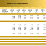 Medical Clinic CapEx Financial Model Overview | eFinancialModels CapEx schedule illustrating depreciation and net book values for a medical clinic.