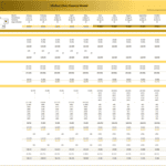 Medical Clinic Financial Model Overview for 2025 | eFinancialModels Financial model chart depicting 2025 income statement and monthly budget for a medical clinic.