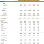 Financial Model for Medical Clinic (2025-2029) | eFinancialModels Financial model showing income statement for a medical clinic from 2025 to 2029.