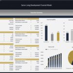 Executive summary chart detailing key metrics for senior living financial model.