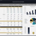 Supermarket Financial Model Executive Summary Overview | eFinancialModels Executive summary highlighting revenue, financial ratios, and valuation metrics for a supermarket model.