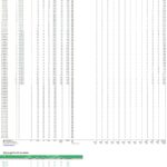 Mini storage rent roll with unit sizes, rent values, and occupancy rates.