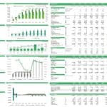 Executive summary chart displaying financial projections and metrics for a mini-storage business model.