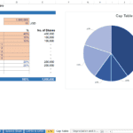 Cap table detailing share distribution among founders and investors