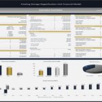 Financial model summary showing project details, revenue metrics, and cash flow analysis for FSRU.