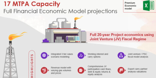 20MTPA LNG Distribution Financial Model