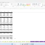 Annual income statement showing revenue, costs, and profits for BNPL 123, LLC.
