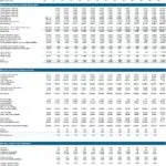 Comprehensive financial projection template for 2025 including income and balance statements.
