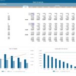 Debt schedule showing loans, interest rates, and repayment forecasts.