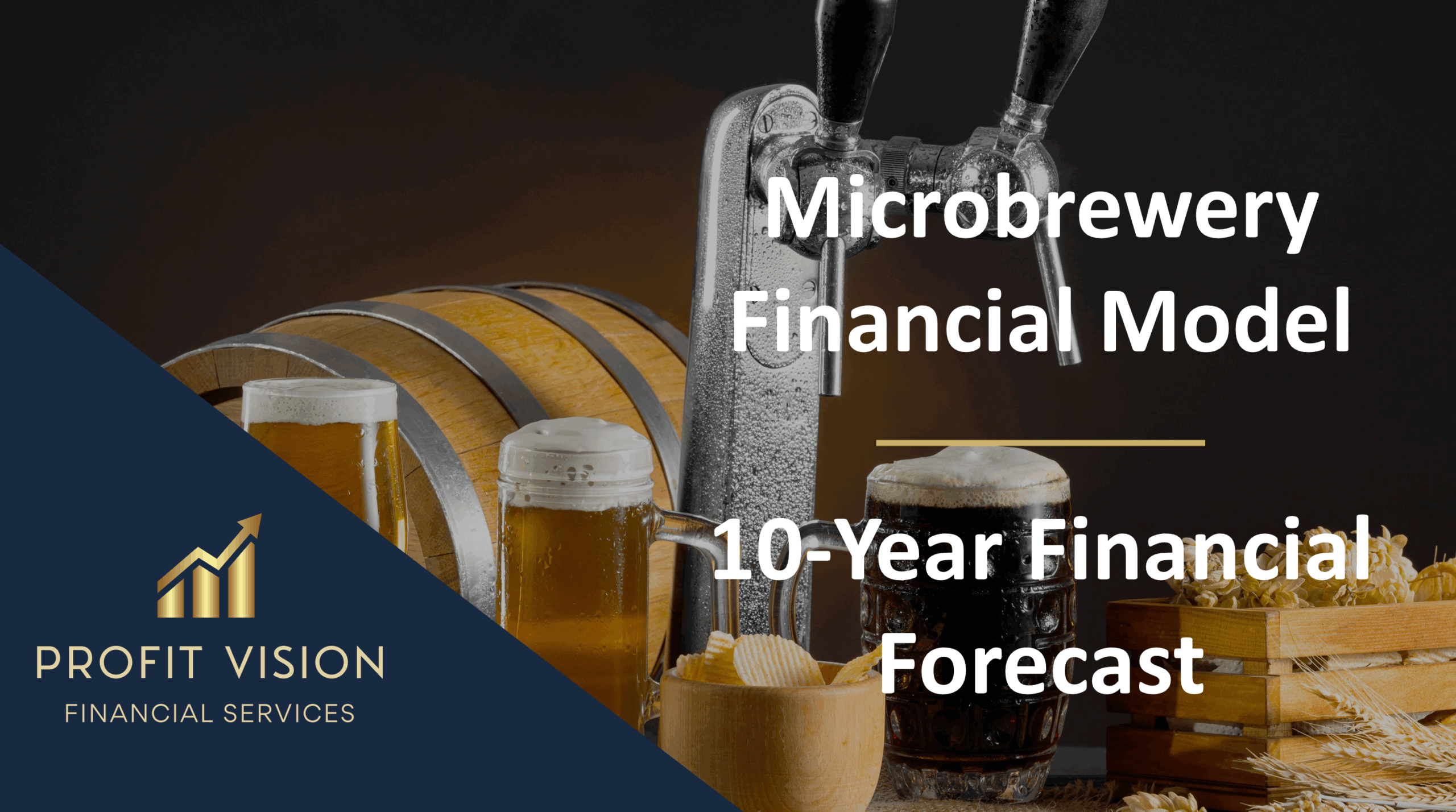 Microbrewery – 10 Year Financial Model