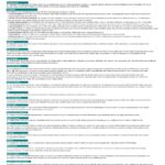 Breakdown of tabs in the financial model for skilled home healthcare analysis and planning.