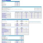 Financial assumptions for skilled home healthcare including revenue, costs, and staffing details.