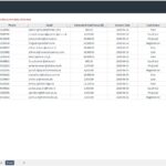 Sales leads data table showing customer information and status updates.