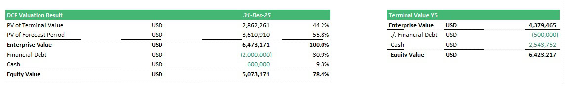 DCF Valuation Results Overview | eFinancialModels DCF valuation results with equity and enterprise values detailed by cash and debt.