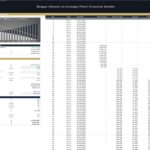 Debt schedule for biogas plant with principal, interest, and payment details.