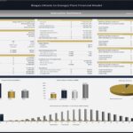 Executive summary of biogas plant financial model showing project metrics and financial returns