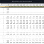 Monthly cash flow table showcasing revenues and expenses for a biogas energy plant.