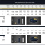 Financial model metrics for a biogas plant showing development costs, cash flow, and IRR.