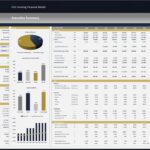 Executive summary displaying financial projections and metrics for a fish farming model.