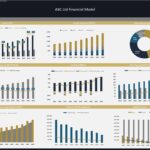 Financial dashboard displaying revenue, EBITDA, expenses, and cash flow trends for ABC Ltd.