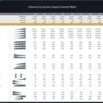Cybersecurity Services Company Financial Ratios Overview | eFinancialModels Financial ratios for a cybersecurity services company model, covering profitability and liquidity metrics.