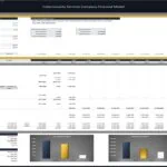 Cybersecurity Company Investor Distribution Model | eFinancialModels Investor distribution model for a cybersecurity company, detailing LP and GP returns over 10 years.