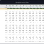 Detailed monthly budget Excel sheet for SaaS revenue and expenses.