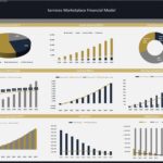 Financial dashboard showing revenue sources, income statement, and cash flow analysis.