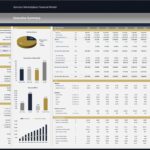 Financial overview including revenue sources, expenses, and key metrics for a marketplace model.