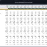 Detailed financial model showing monthly budget breakdown for revenue, expenses, and profits for 2029.