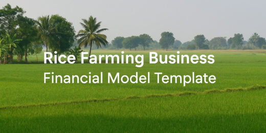 Financial model template for agricultural rice farming analysis.