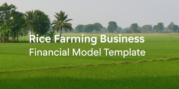 Rice Farming Financial Model Rice Farming Financial Model