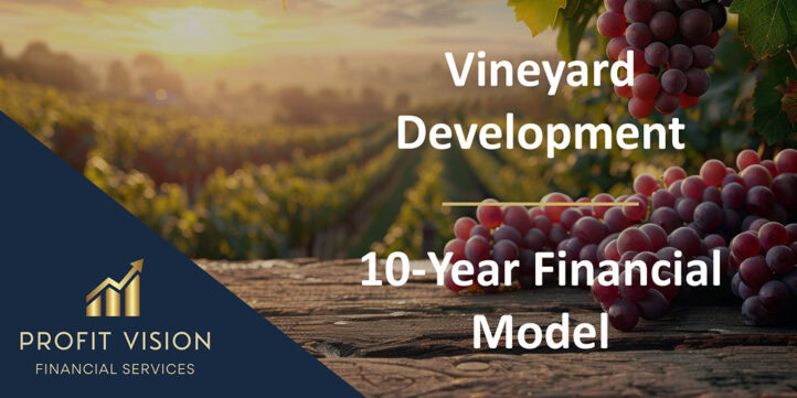 Vineyard Financial Model | eFinancialModels