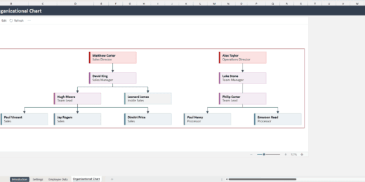 Organizational Chart Excel Template