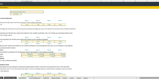 Cash Flow Business Plan Template