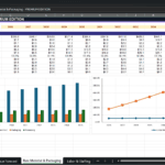 Screenshot 1408 | eFinancialModels Spreadsheet titled 'Raw Material & Packaging - PREMIUM EDITION' with COGS and margin data for 2026–2035 and two embedded charts (bar and line). User-facing financial planning table and visuals included.