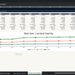 Screenshot 1616 | eFinancialModels Excel sheet titled 'Flock Cycle Engine' with a data table for 2026–2035 and a chart labeled 'Birds Sold, Live Kg & Feed Kg' beneath it, showing three data series fasting across years.